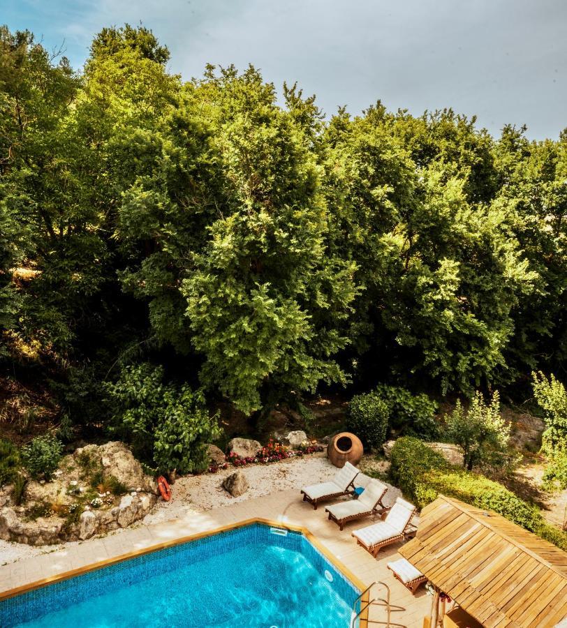 Secret Forest - Wellness Retreat & Healing Spa (Adults Only) Miliou Exterior photo
